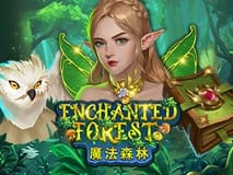 Enchanted Forest game cover