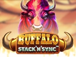 Buffalo Stack n Sync game cover
